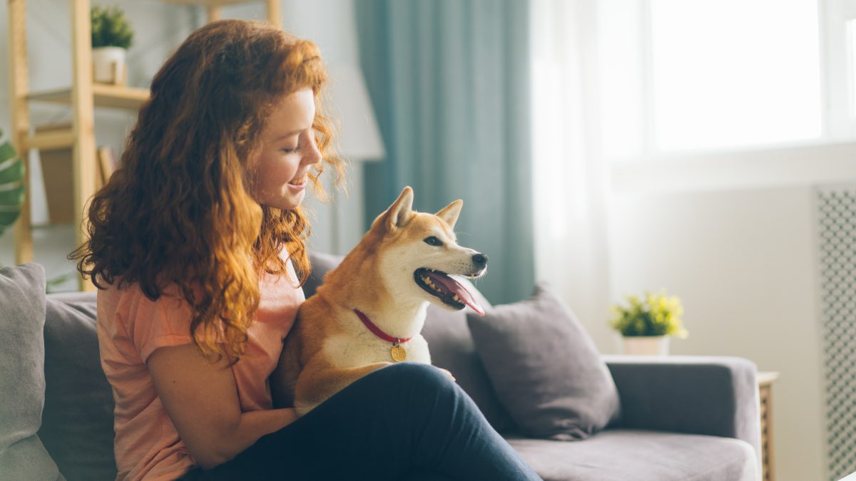 How to Find the Best Pet Insurance, Regardless of the Provider